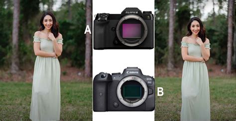 Fujifilm GFX100S vs Canon R6: Is Medium Format Worth It? This Guy Says ...