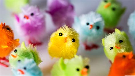 Chicks Easter Wallpapers - Wallpaper Cave