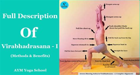 How to do Virabhadrasana I (The Warrior Pose): Steps and Benefits | Warrior pose, Poses, Warrior