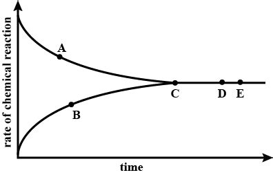 A graph given below deals with the reversible reaction.What inference can be drawn about the ...