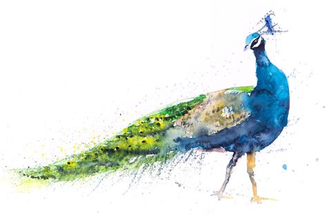 Peacock Painting No.1 Wall Art Watercolour - Signed Limited Edition ...