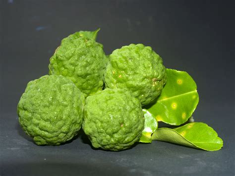 Bergamot Fruit Free Stock Photo - Public Domain Pictures