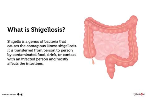 Shigellosis: Causes, Symptoms, Treatment and Cost