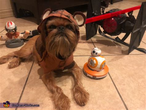 Ewok Dog Costume | Easy DIY Costumes