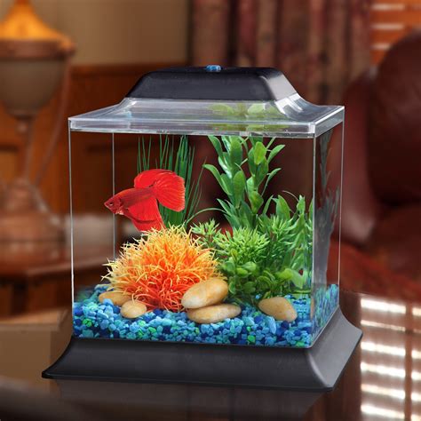 Imagitarium 1.4 Gallon Betta Aquarium | Betta aquarium, Betta fish tank, Small fish tanks