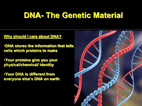 DNA- The Genetic Material