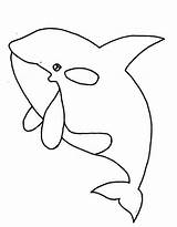 Blue Whale Coloring Page Free Printable PDF sketch template
