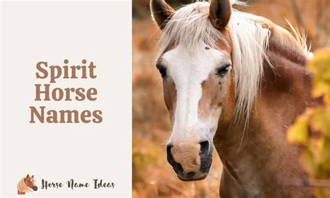 300+ Spirit Horse Names - HorseNameIdeas.com