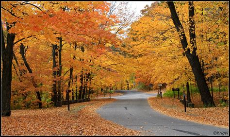 Fall Colors @ Devils Lake State Park | Vishal Modak | Flickr