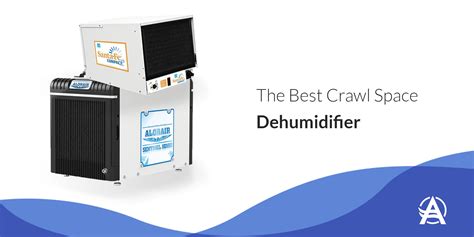 8 Best Crawl Space Dehumidifiers Reviewed (December 2024)