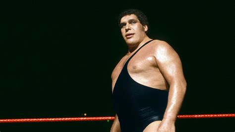 Why AndrÃ© the Giant Was Larger Than Life | HowStuffWorks