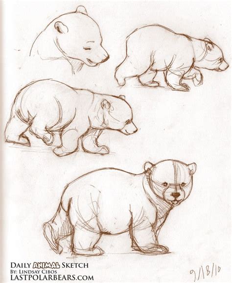 Bear And Cub Drawing at GetDrawings | Free download