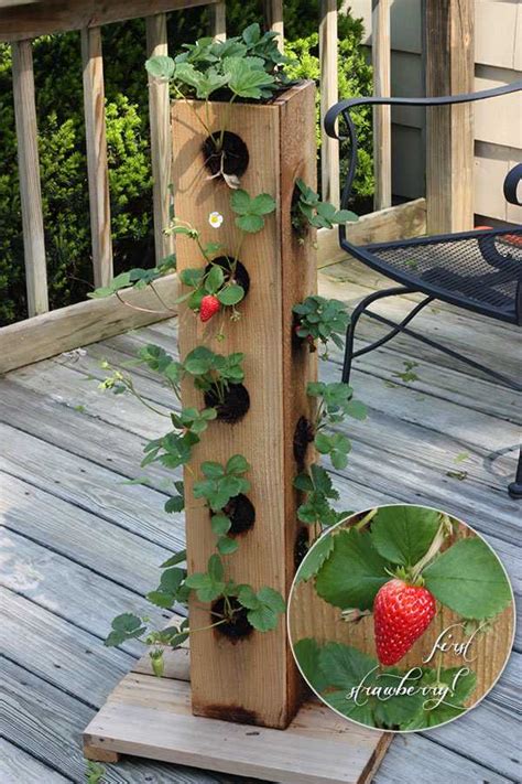 vertical garden ideas diy Diy vertical garden ideas (16+ creative ...