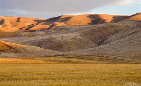 Golden Foothills | California Central Coast | Landscape mountain and desert photography