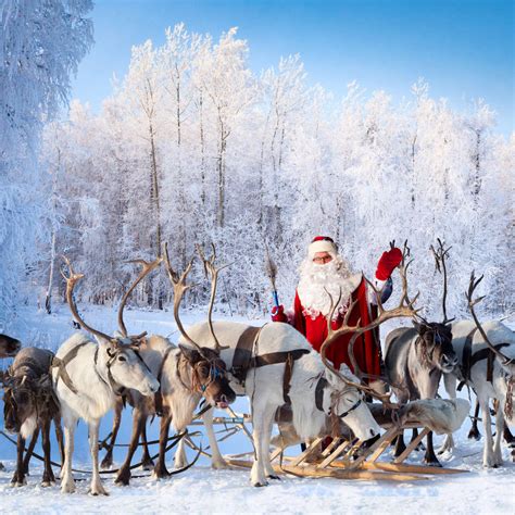 Reindeer And Santa Claus Wall Art | Photography