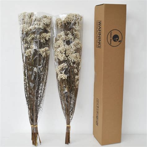 Caiyun Manor Natural Millet Flowers Dried Bouquet for Home and Wedding ...