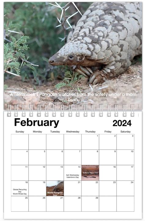 2024 Wildlife Calendar - Etsy