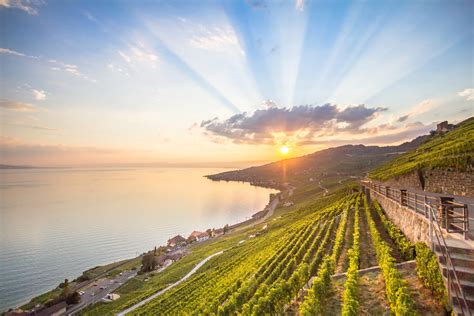 Vineyards in Lavaux region, Switzerland | Bürki Reisen