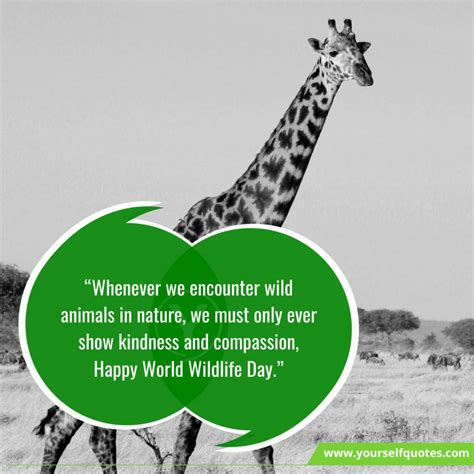 World Wildlife Day Quotes Wishes That Will Help Sustain All Life On Earth