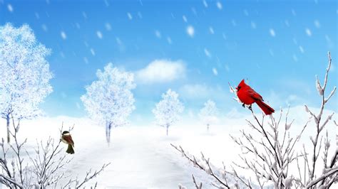 Download Snowfall Snow Sparrow Cardinal Bird Artistic Winter HD Wallpaper