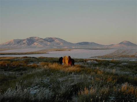 Sweet Grass Hills , central Montana | Montana, Favorite places, Natural ...