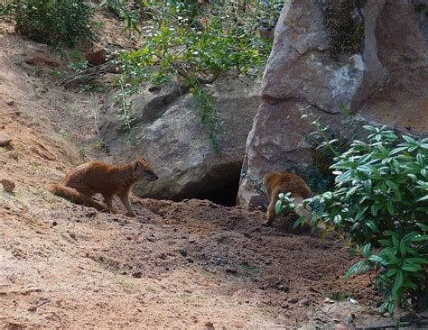 Local destination Nuremberg Zoo in Nuremberg - DOATRIP.de