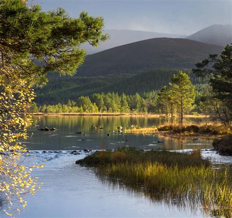 Loch Morlich in Aviemore Scotland Uk, England And Scotland, Scotland ...