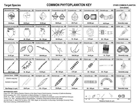 Plankton Identification Chart