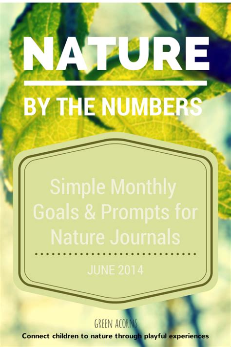 Nature by the Numbers Journal Prompts