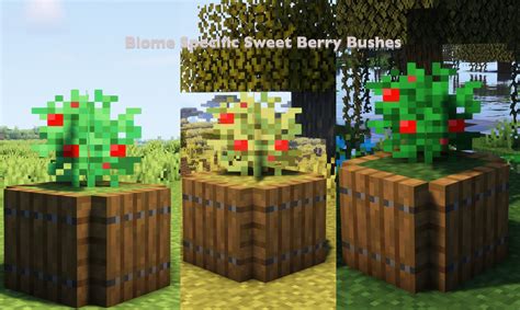 Biome Specific Sweet Berry Bushes Minecraft Texture Pack