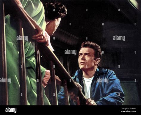 REBEL WITHOUT A CAUSE, Ann Doran, James Dean, 1955 Stock Photo - Alamy