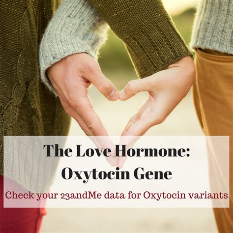 Oxytocin Levels: Genetics of the Love Hormone – Genetic Lifehacks