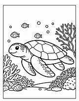 Color Pictures Of Sea Turtles Coloring Page sketch template