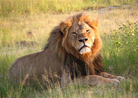 Mucusso National Park, Rivungo, Angola - Heroes Of Adventure