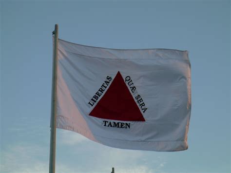 Flag of Minas Gerais, Brazil : vexillology