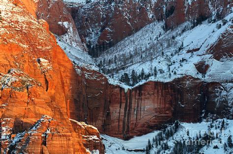 Zion Kolob Canyon Photograph by Bob Christopher | Fine Art America