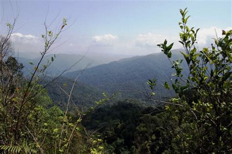 Gunung Angsi – Revisited | Outdoor Malaysia