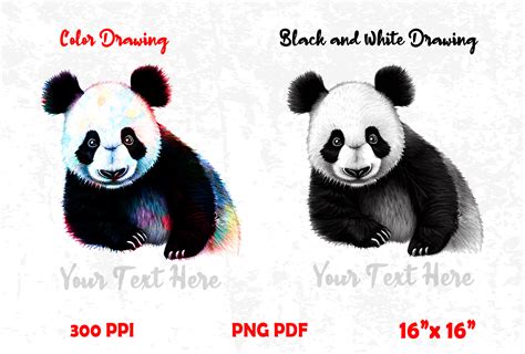 Panda Color Drawing Graphic by EDDI · Creative Fabrica