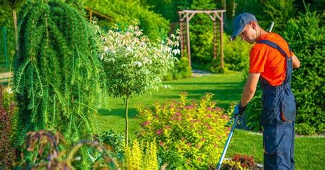 6 Crucial Garden Maintenance Tips in Spring - Amazing Blog Collection