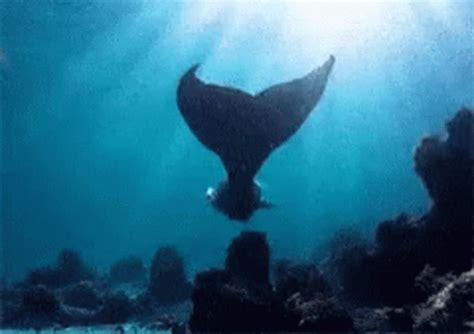 Mermaid Swim GIF - Mermaid Swim Underwater - Discover & Share GIFs