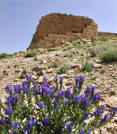 Photo by Abdoreza Majdi. Towards the end of visitors way in Pasargadae ...