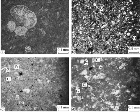 Thin section photographs with an analyzer: (a) AD-4 (micrite limestone ...