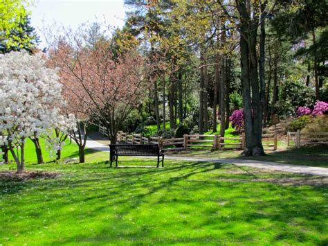 Brueckner Rhododendron Gardens: Rhododendron Gardens Tour Date May 23 ~ Rhodos, Azaleas ...