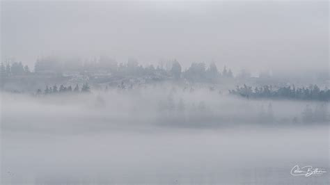 Sequim Daily Photo – Views of Sequim, the Olympic Peninsula. . .and beyond