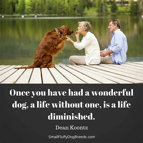 Quotes About Dogs (Great Quotes About Man's Best Friend)