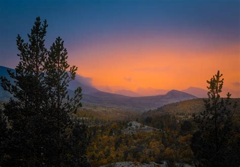 Rondane national park | National parks, Park, Outdoor