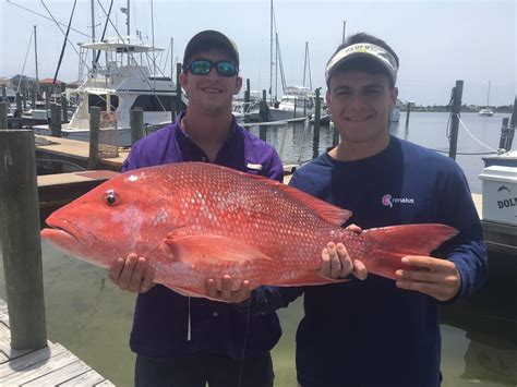 Offshore - Pensacola fishing charters