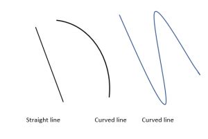 WHAT IS A CURVED LINE?- MINDSPARK - mydomain