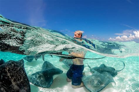 Grand Cayman Stingray City Sunset Excursion | Red Sail Sports