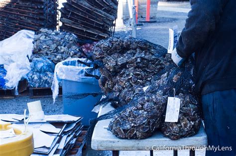 Hog Island Oyster Company: Shucking with a View - California Through My Lens